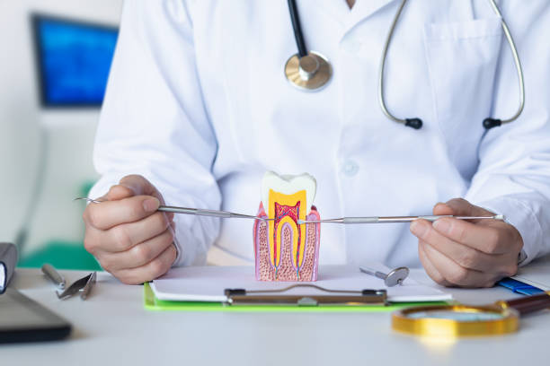 Best Emergency Root Canal Treatment in Cleveland, AL